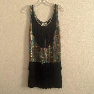 ☃️3 for $30☃️ Sequin Fringe Flapper Dress